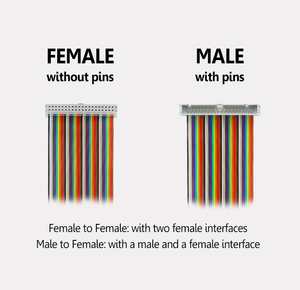 20cm 40-Pin cavo piatto GPIO estensione Raspberry Pi 4 & arancione Pi compatibile maschio a femmina e femmina a femmina color arcobaleno - Product Image 3