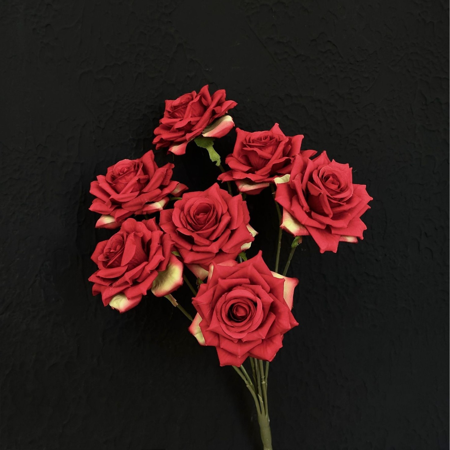 rose n.1 rosse