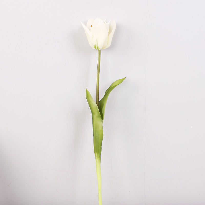 Tête simple - Blanc