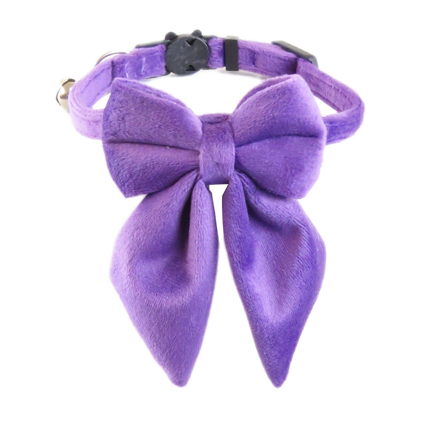 Viola