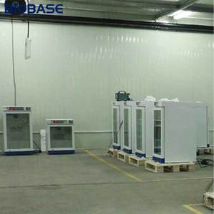 ラボ用マイクロプロセッサ制御システム付きBIOBASE中国血小板インキュベーターBJPX-SP10 - Product Image 4