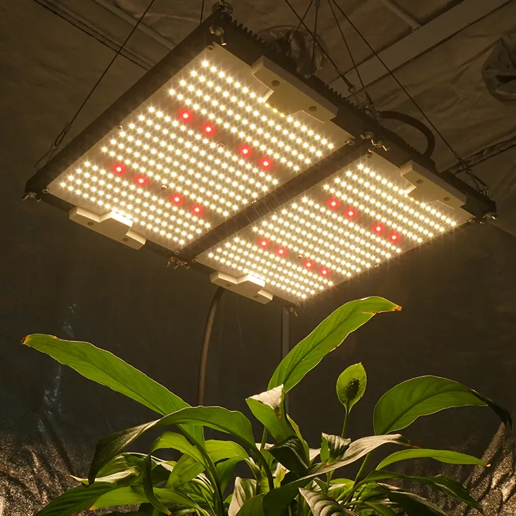 KingBrite 240W Samsung LM301H Mix XP-E2/XP-G3 660nm Red Board Duplo Dissipador LED Crescer Luz Para Plantas de Interior Cobrir 2 * 2ft Tenda