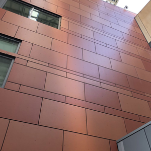 Sang trọng hardflex trang trí bên ngoài bảng tường ốp mô-đun khuôn Hỗ trợ khung đúc sẵn tường mặt tiền - Product Image 3