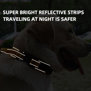 Tùy Chỉnh Chiến Thuật Con Chó Đào Tạo Cổ Áo Cho Velcro Logo Mềm Cotton Lót Dày Xử Lý Thanh Lịch Hiện Đại Con Chó Dây Xích Kim Loại - Product Image 3