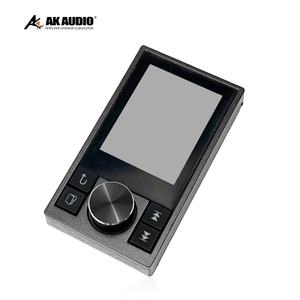 Amplificador de coche DSP de alta potencia, amplificador automático Mono Block DSP, nuevo diseño, 4 canales, 4*100W para Subwoofer, 1 unidad, 2 unidades - Product Image 4