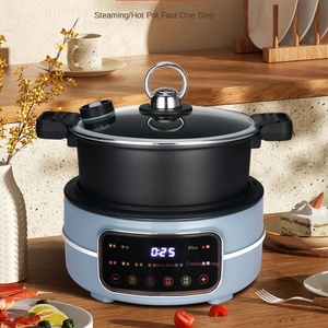 Voll automatische öl freie visuelle Hot-Pot-Multifunktion mit großer Kapazität Neuer All-1-Luft fritte use aus Edelstahl und Reiskocher
