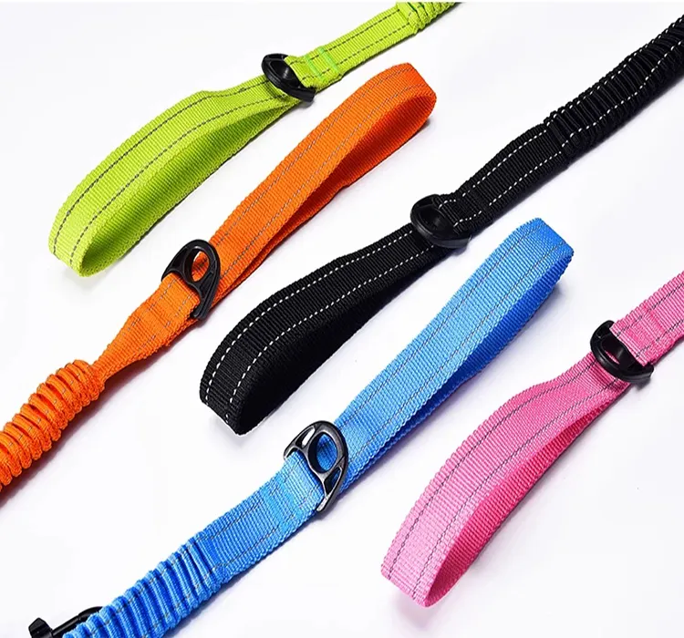 New product Whole sale  Bungee  Muti-color  Retractable Dog Leash