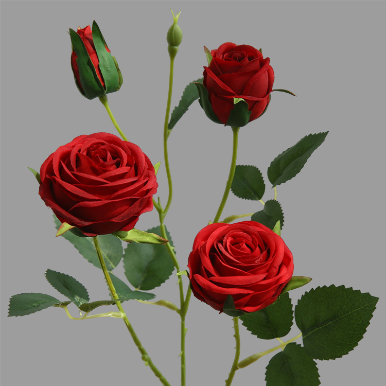 Rouge