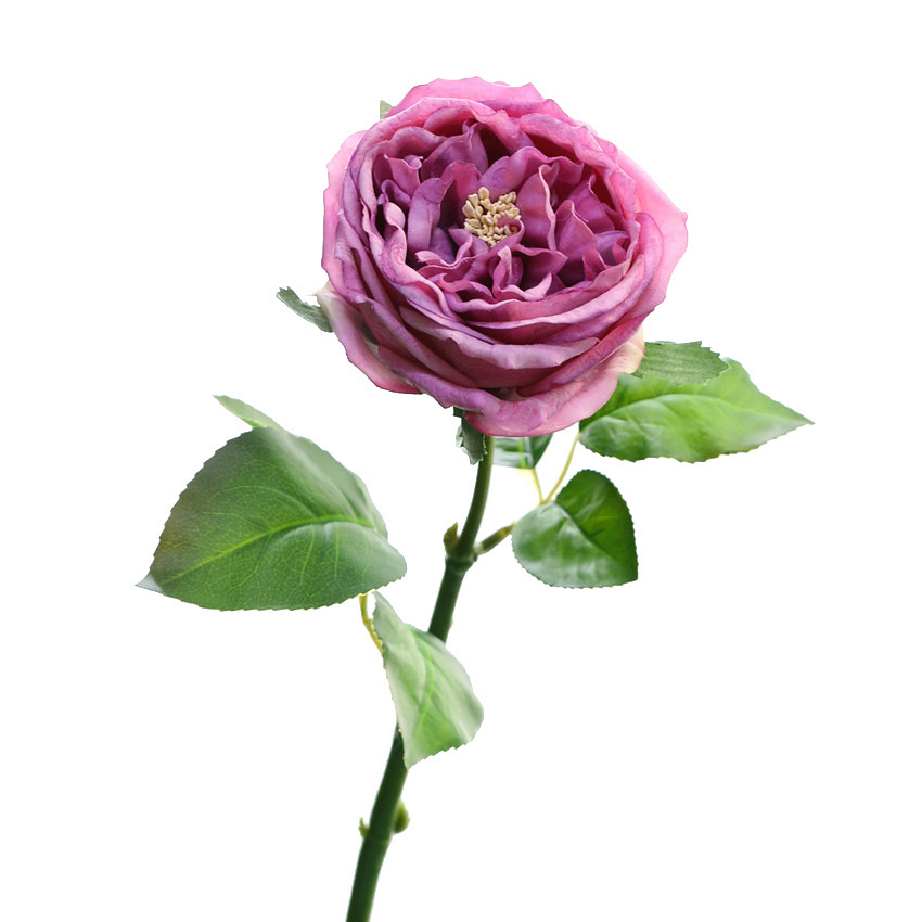 rosso porpora