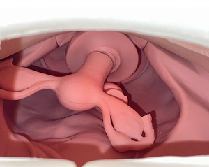 Medical Science Advanced Gynecological Examination Simulator Abnormal <strong>Palpation</strong> Practice Model for Medical School Class Use - Product Image 5