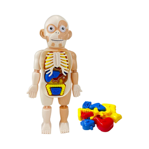 Çocuk 4D insan organları bebek kiti DIY montaj bilim seti çocuklar için öğrenme için çıkarılabilir oyuncak plastik aydınlanma modeli - Product Image 4