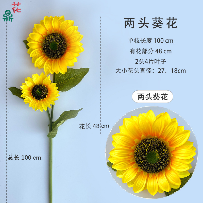 Tournesol XZG (à deux têtes) - expédié séparément