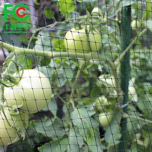 Heavy-Duty Plastic <strong>Mesh</strong> Bird Netting Solar Panel BOP Elastic Stretch <strong>Net</strong> for Fruit Bird Barrier Deer Fence <strong>Custom</strong> Cutting - Product Image 6
