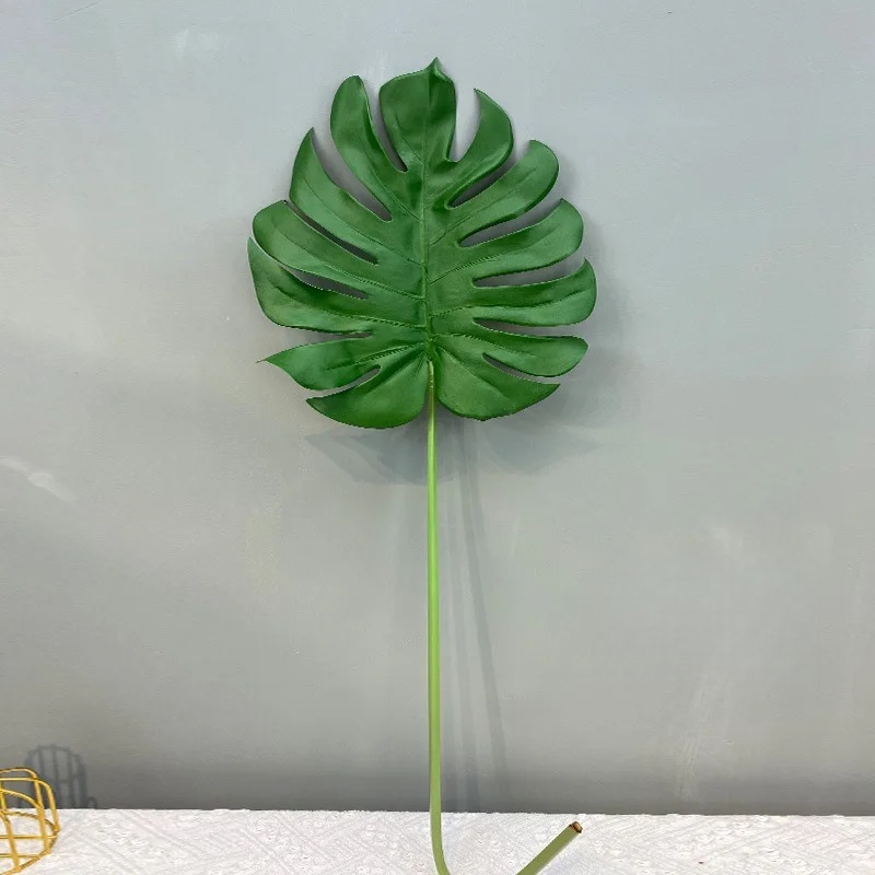 Verde 01