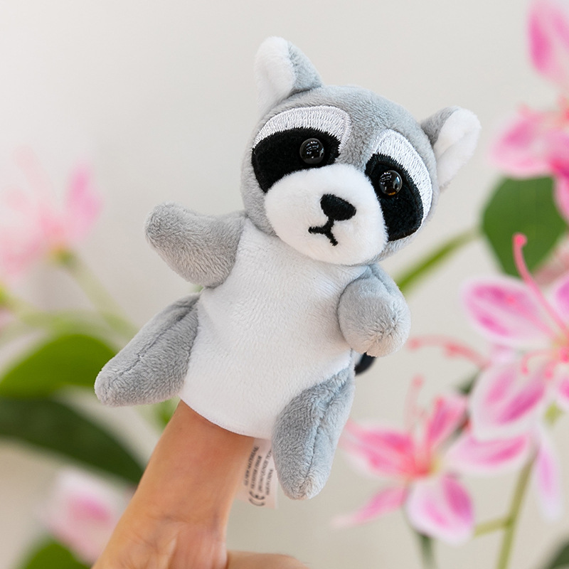 mapache