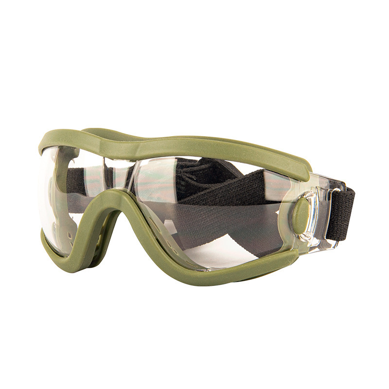 Lunettes pour animaux - monture verte transparente
