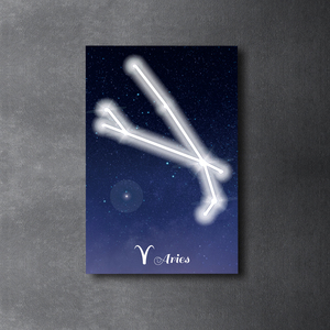 定制3D霓虹灯发光二极管标志墙海报十二星座动画家庭酒吧户外生日派对商场远程商店