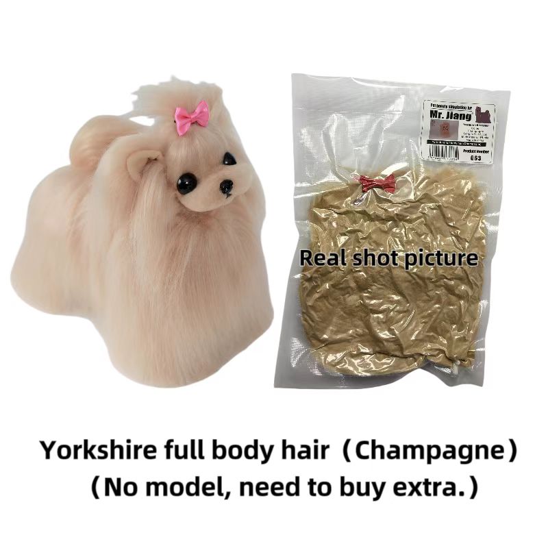 Pelo de cuerpo completo de Yorkshire (champán)