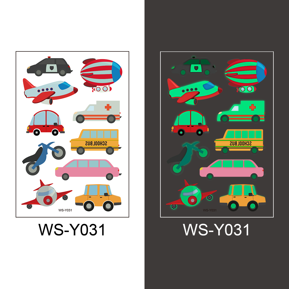 WS-Y031