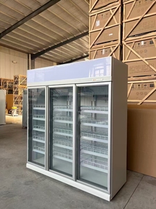 Commercial Display Refrigerator Insulated <strong>Stand-Up</strong> Beverage Cooler with Glass for Cola <strong>Chiller</strong> and Beverage Storage