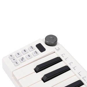 Cheap Price OEM <strong>Custom</strong> <strong>Midi</strong> <strong>Keyboard</strong> <strong>Controller</strong> Piano Mini Digital 25-key and <strong>Midi</strong> Synthesizer Other Music Instrument