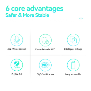 LEELEN Interruptor Zigbee Wall Mounted Switch Customized Icon Alexa Voice Control App Remote Control Tuya Wall Switch