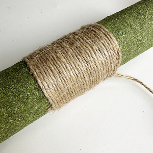 New Arrival Customized <strong>Catnip</strong> Toys Matata Bigal Fruit Raffia Teeth Grinder Kitten Catmint Chew Toy Clean <strong>Cat</strong> Accessories