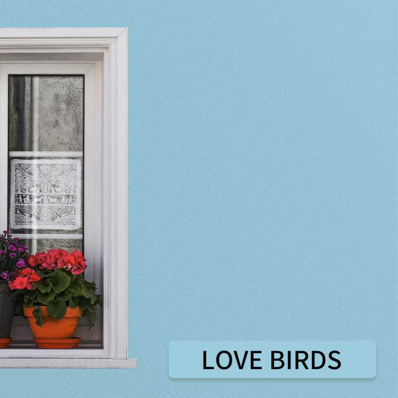 Oiseau d'amour