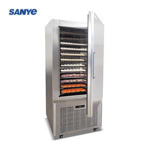 Factory Price Freezing Equipment <strong>Big</strong> Capacity 5/10/15 Trays Fast Freezer <strong>Blast</strong> Freezing Machine <strong>Blast</strong> Freezer for Sale - Product Image 6