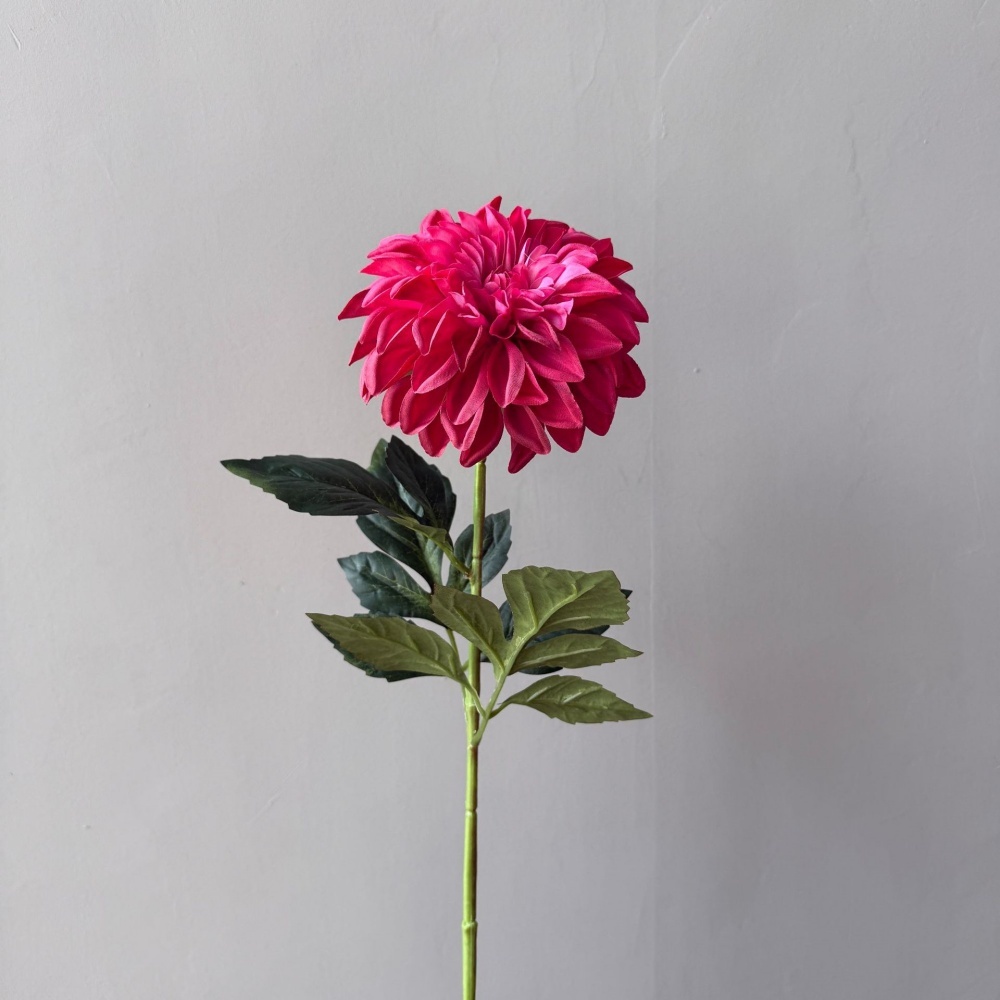 4# rosso rosa