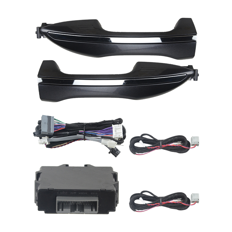 2 door handle-black