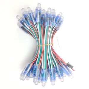 Wasserdichtes RGB vollfarbiges Outdoor-LED Pixel-Modul automatisches 2811 IC led 12 mm RGB-LED-Pixel-Lieferanten-Lichtstrang - Product Image 6