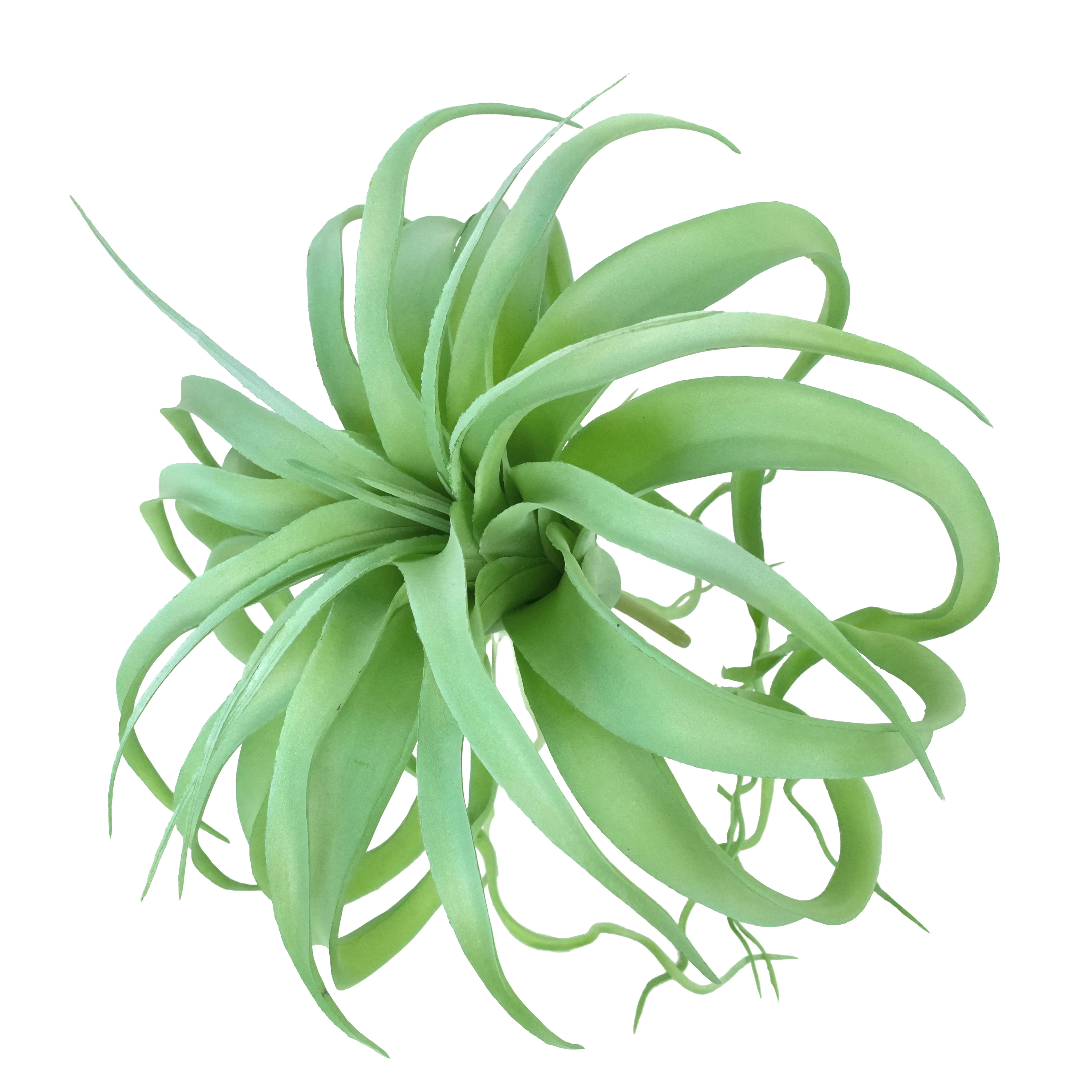 white green