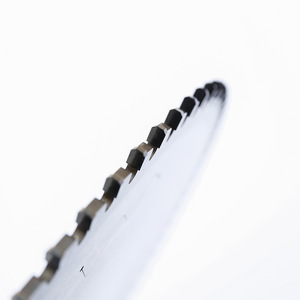 KWS Panel Sizing <strong>Saw</strong> Blade for Wood Cutting Tool Same Level with <strong>Freud</strong>,letiz,leuco - Product Image 5