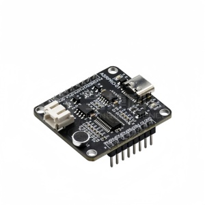 ASR-PRO ses akıllı konuşma tanıma kontrol modülü AI çevrimdışı tanıma geliştirme kurulu özel giriş - Product Image 2