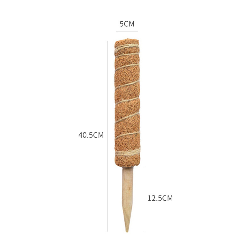 Stick-40cm de palmier coco