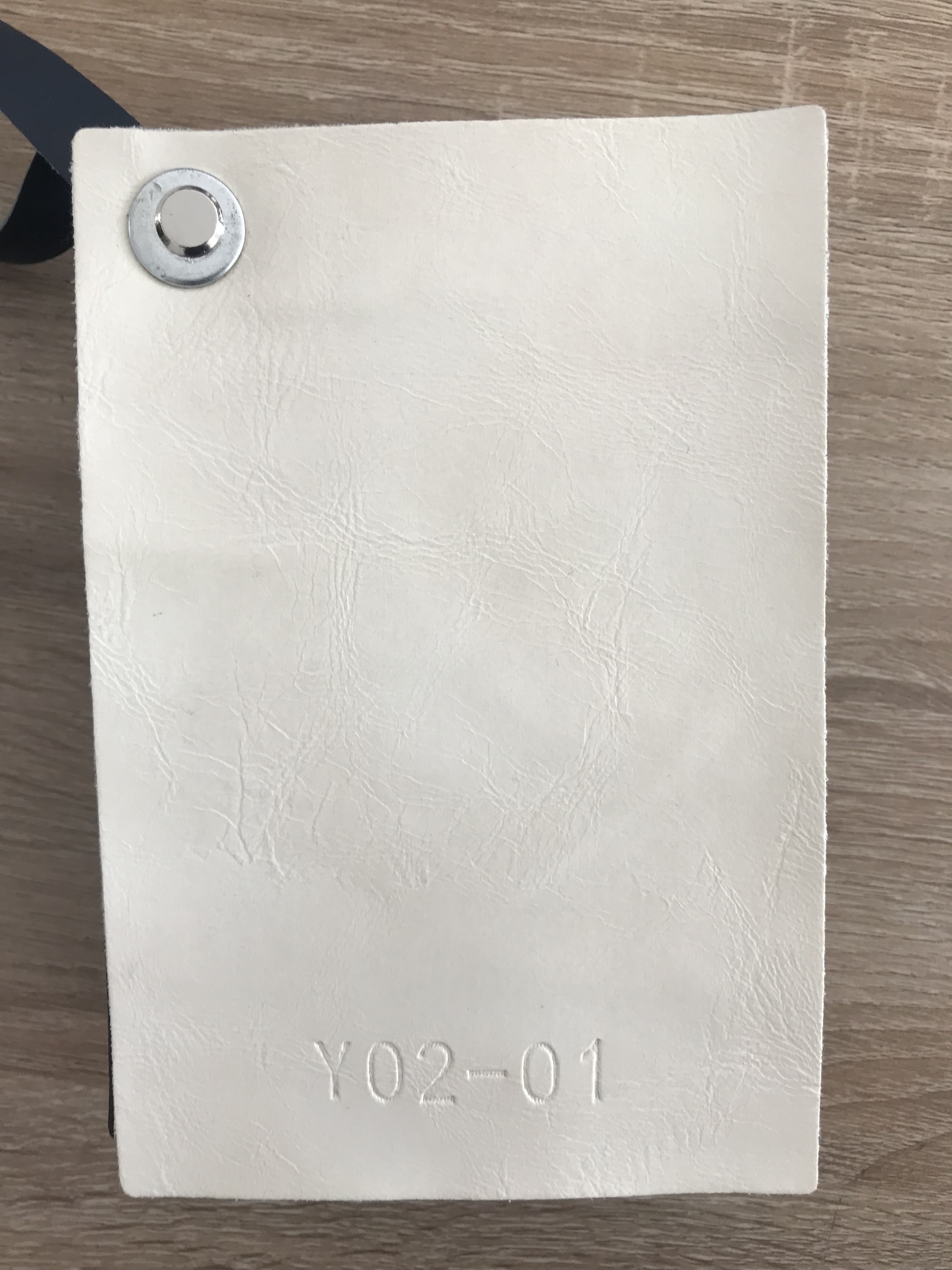 Y02-01