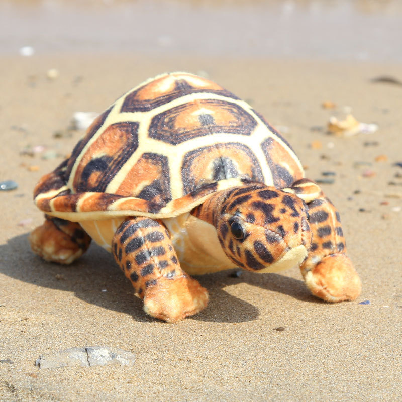 Marrón tortuga simulado - 30 cm - 130 g