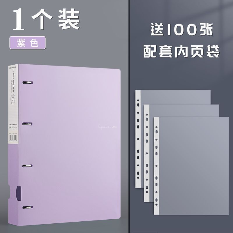 Dossier violet 4 trous avec 100 sachets à feuilles mobiles