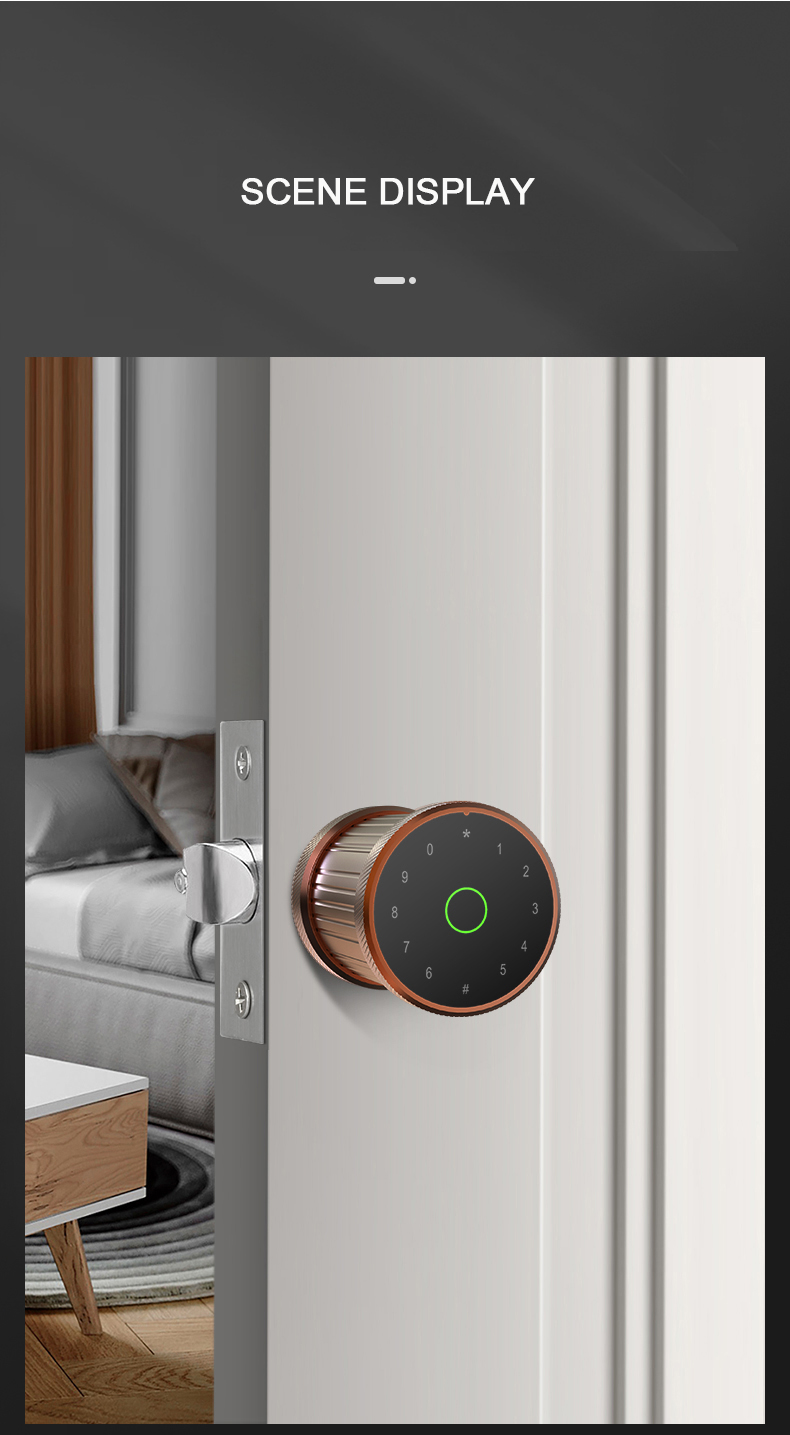 door lock guangdong*hyh hardware adobe master collection electronics locks ttlock finger print door lock