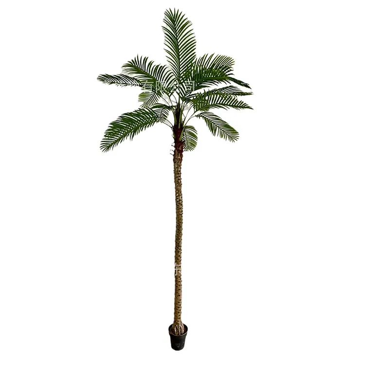 New design Shooting Ornaments Phoenix Plant Kentia Palm Plants Artificial Tree