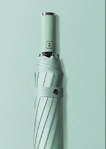verde 1