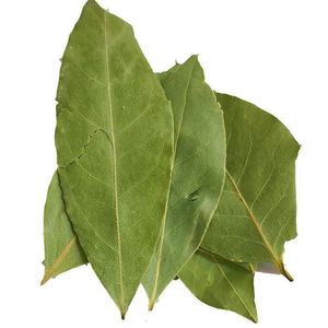 Yue Gui baharat sınıfı kurutulmuş Bay saf Natrual % defne yaprağı ihracat bırakır - Product Image 2