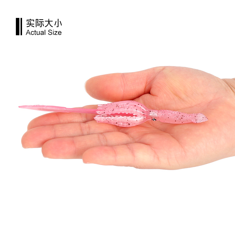 3062 Squid Small