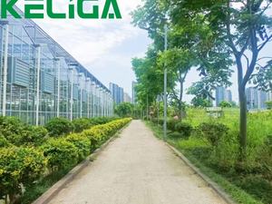 Hot Selling Hot-Dip Galvanized Structure Glass Greenhouse - Product Image 4