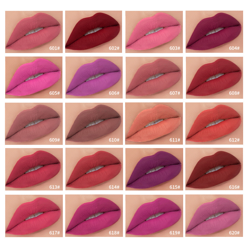 24 couleurs