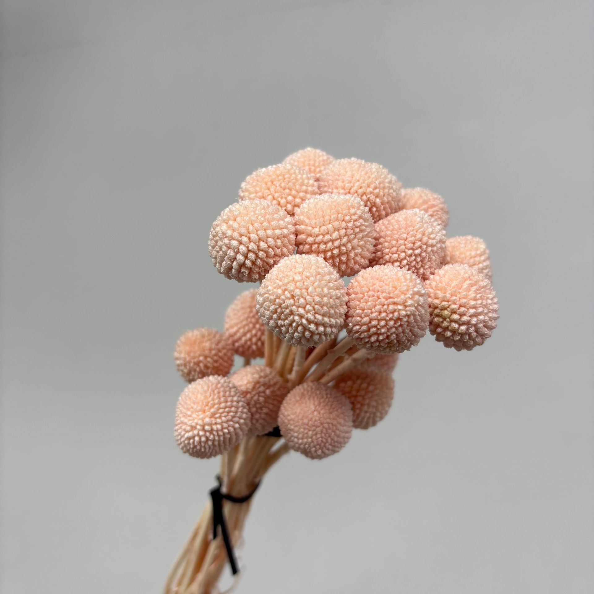 Flesh pink