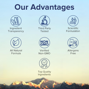 Offre de vente chaude Lactobacillus Reuteri Plantarum désintoxication lyophilisée Suppléments pour femmes adultes Capsules de probiotiques vaginaux - Product Image 3