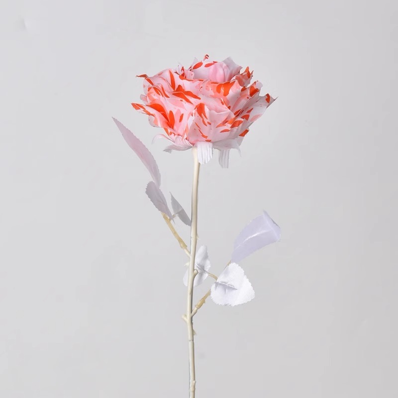 Grande taille (diamètre du capitule 12 cm, longueur totale 61 cm)