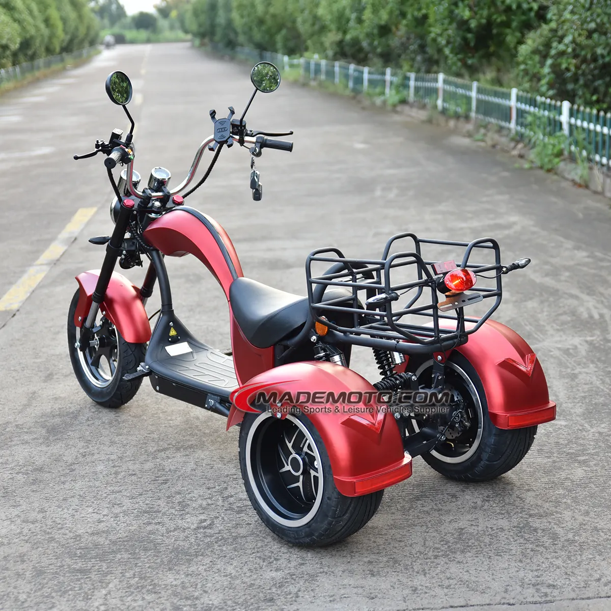 Üç tekerlek büyük lastik Trike Atv yetişkin üç tekerlekli bisiklet Citycoco 3 tekerlekli elektrikli Scooter 500w